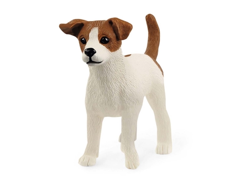 Jack Russell Terrier Slh13916