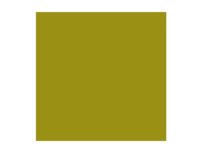 Bilde av Rembrandt Oil Colour Tube Olive Green 620