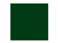Rembrandt Oil Colour Tube Green Earth 629 Hobby - Kunstartikler - Oljemaling