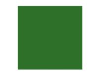 Rembrandt Oil Colour Tube Sap Green 623 Hobby - Kunstartikler - Oljemaling