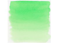 Ecoline Liquid Watercolour Bottle Green 600 Hobby - Kunstartikler - Blekk
