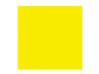 Rembrandt Oil Colour Tube Permanent Yellow Light 283 Hobby - Kunstartikler - Oljemaling
