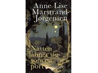 Bilde av Natten åbner Sig Som En Port | Anne Lise Marstrand-jørgensen | Språk: Dansk