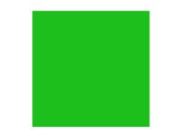 Rembrandt Oil Colour Tube Permanent Green Light 618 Hobby - Kunstartikler - Oljemaling
