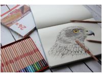 Bilde av Talens Art Creation Colour Pencil Set | 24 Colours